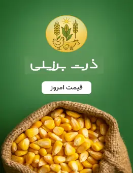 قیمت نهاده ذرت برزیلی