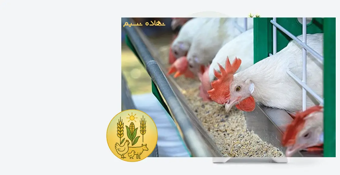 نهاده نسیم
